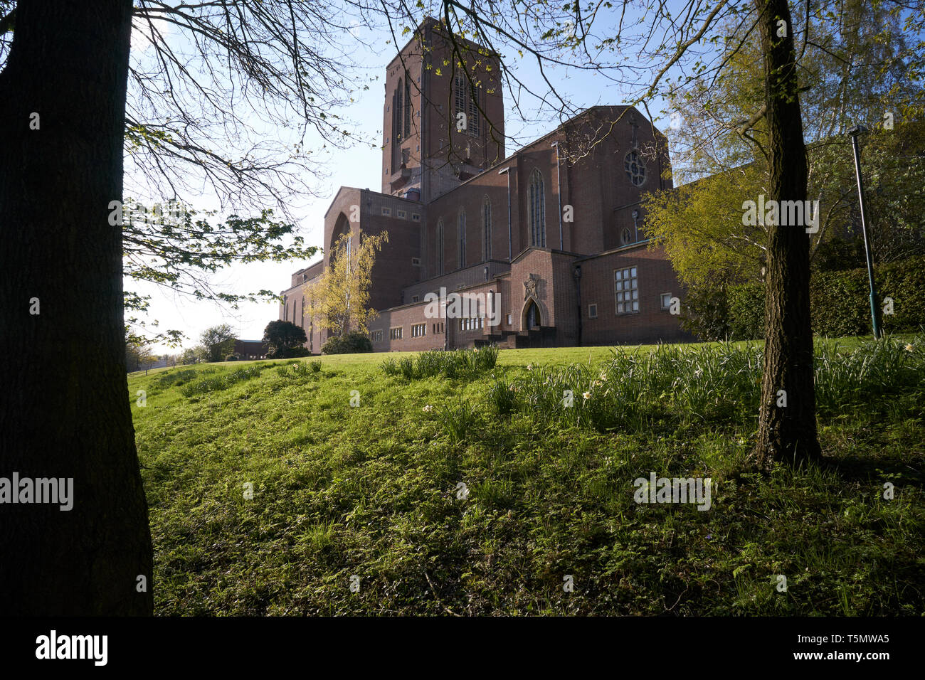 Die Kathedrale von Guildford, Surrey, England, Großbritannien Stockfoto