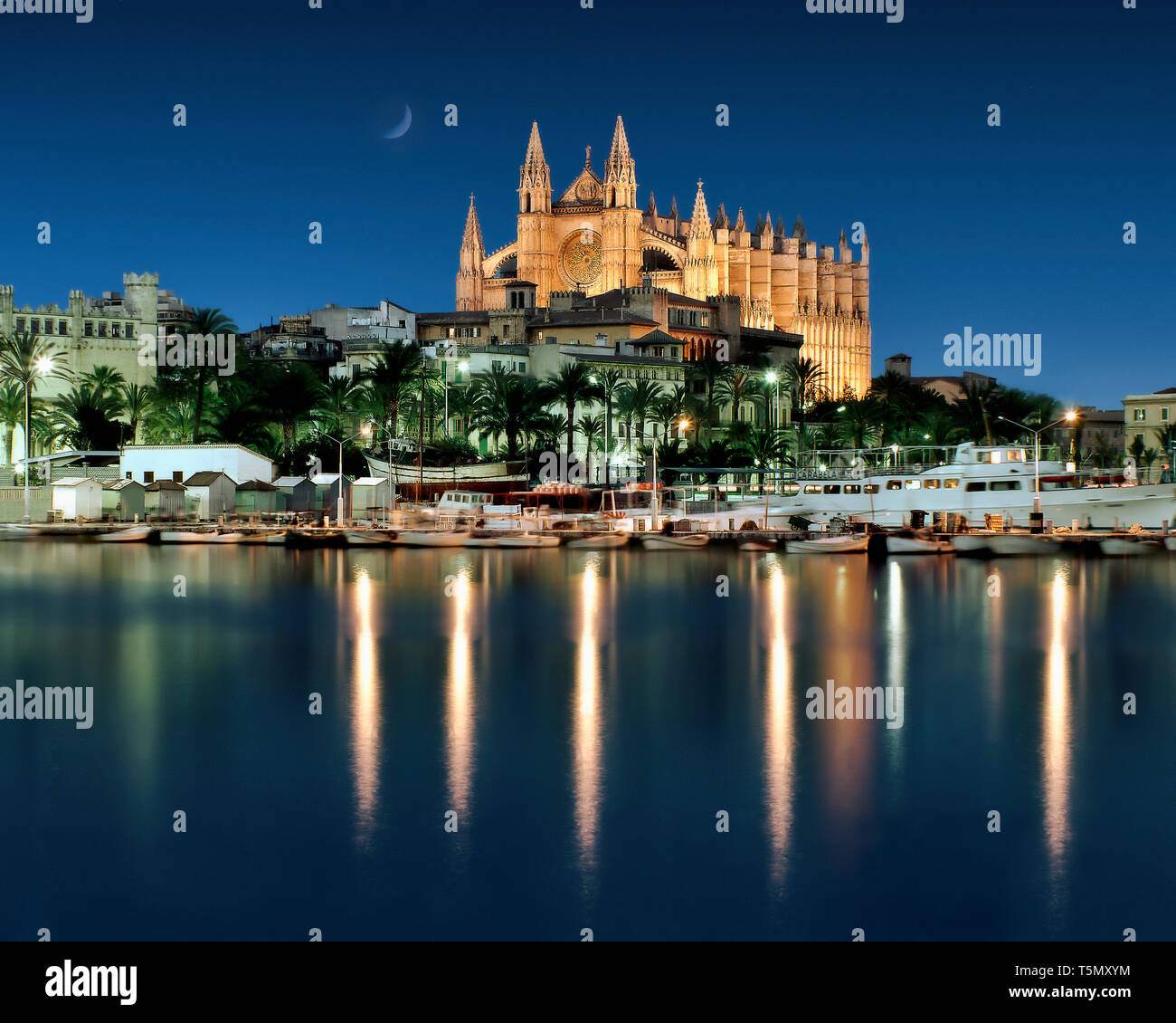 ES - Mallorca: die Kathedrale La Seu in Palma de Mallorca bei Nacht Stockfoto