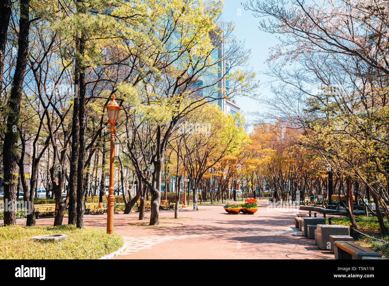 - Gukchae bosang Memorial Park in Daegu, Korea Stockfoto