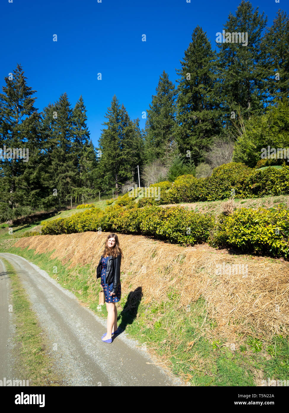 Eine hübsche Brünette Mädchen an der Westholme Kaffee Farm, Kanada's nur kommerzielle Tee wachsende Farm, in der nähe von Duncan, British Columbia, Kanada. Stockfoto