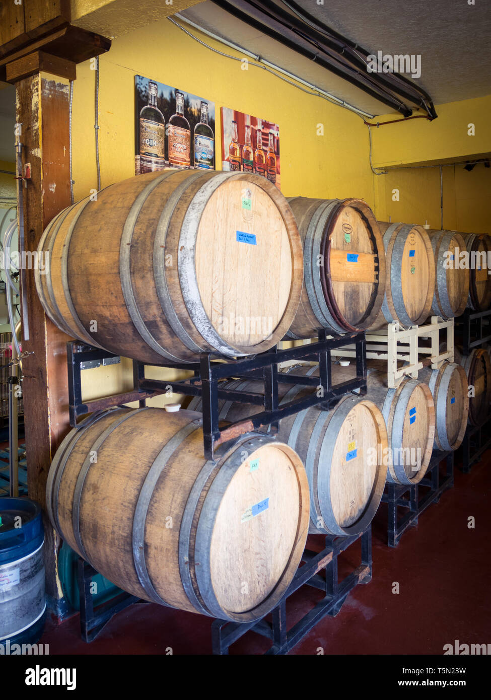 Spirituosen in Eichenfässern am Merridale Cidery und Brennerei in Cobble Hill, Cowichan Valley, British Columbia, Kanada. Stockfoto