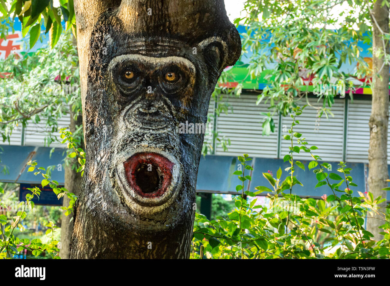 Zeichnung eines Affen auf einem Baumstamm, über eine Lücke im Baum als Monkey's Mund Stockfoto
