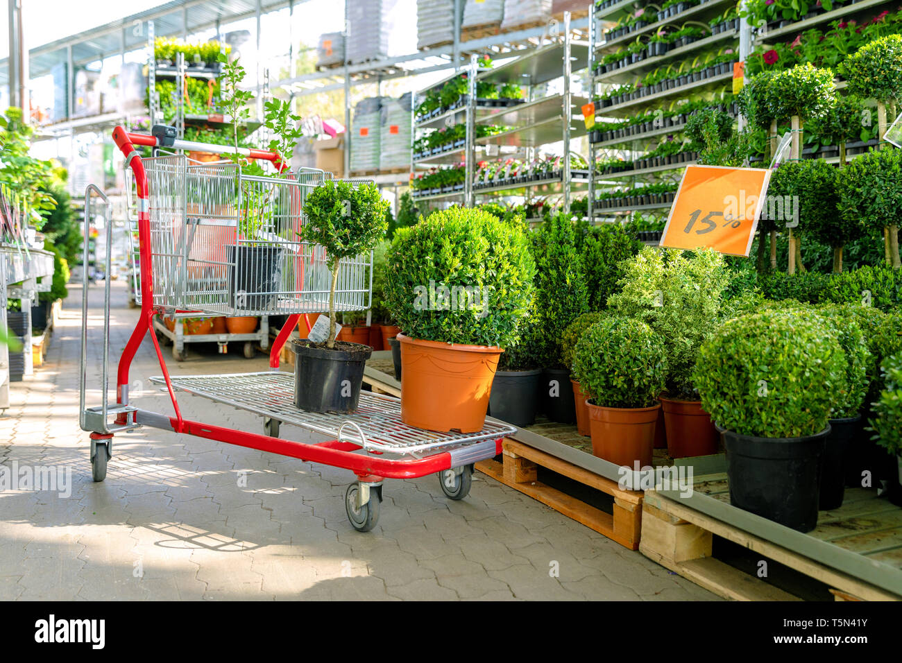 Shopping Cart mit Pflanzen im Ziergarten Pflanzen speichern Stockfoto