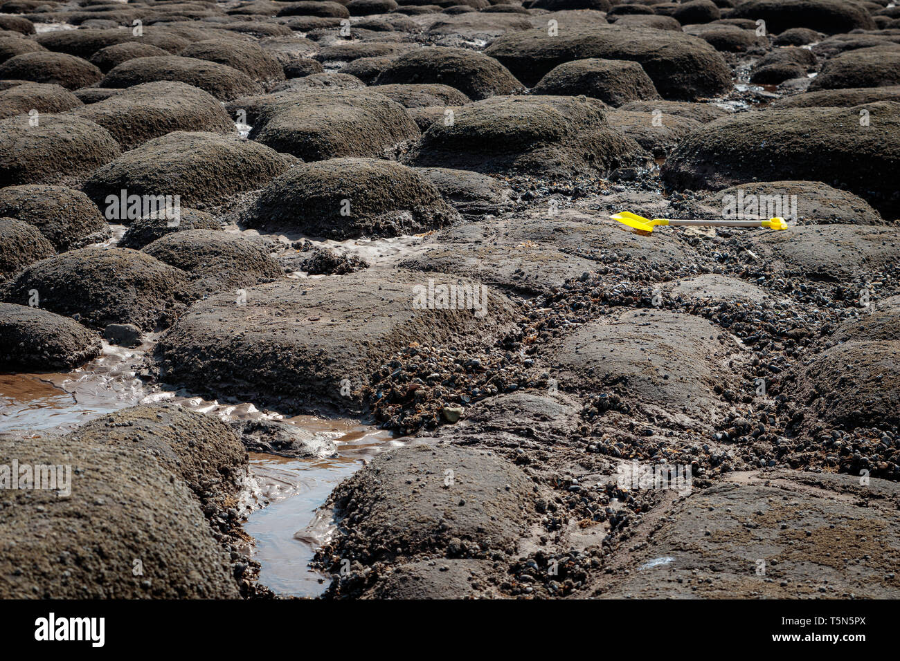 Rock Pools in Hunstanton Beach mit verlassenen Gelber Flachstecker Stockfoto