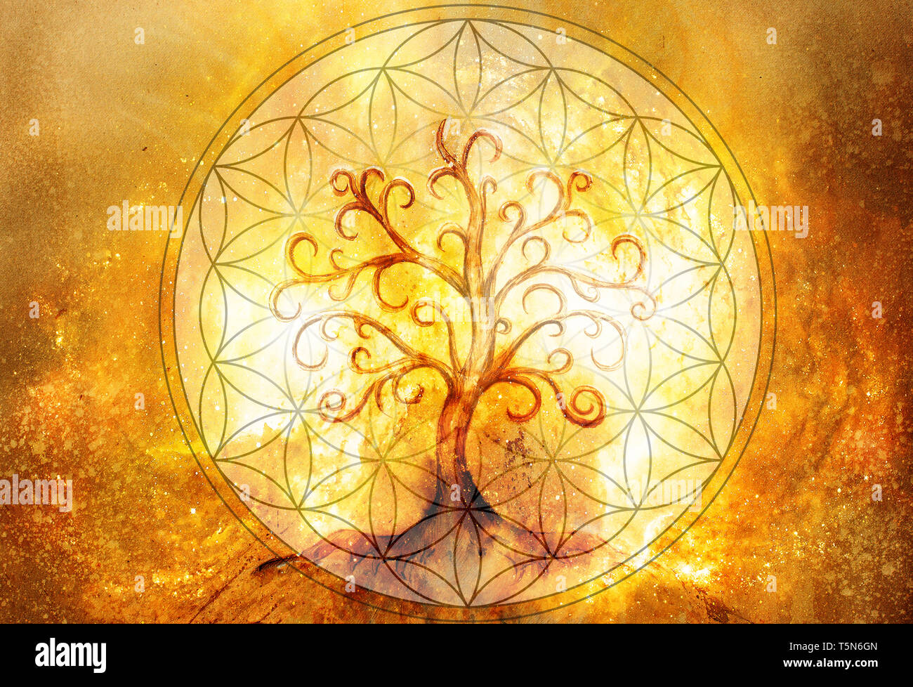 Baum des Lebens Symbol und der Blume des Lebens und Raum Hintergrund,  yggdrasil Stockfotografie - Alamy