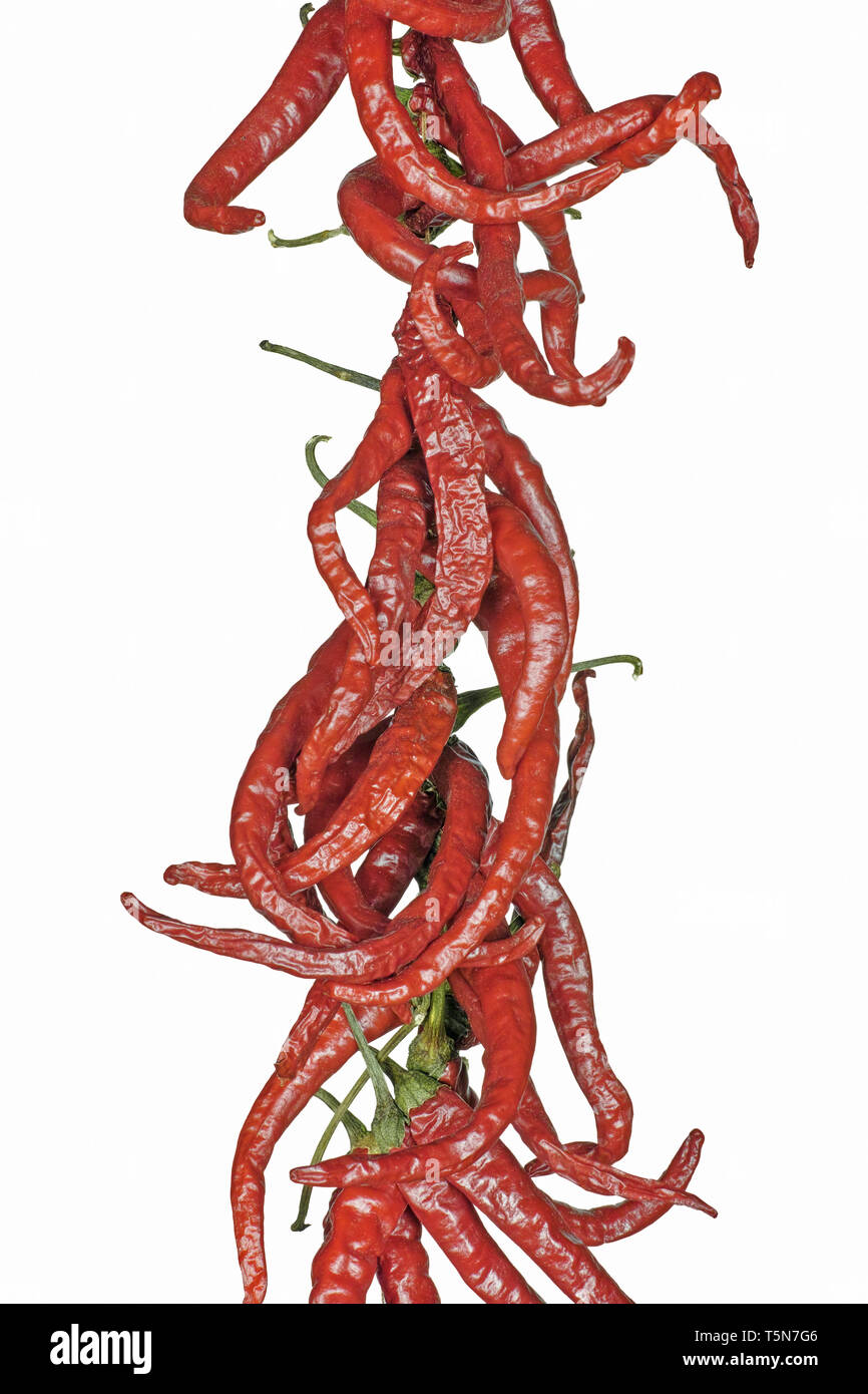 Detail einer Halskette der rote Chilis Stockfoto