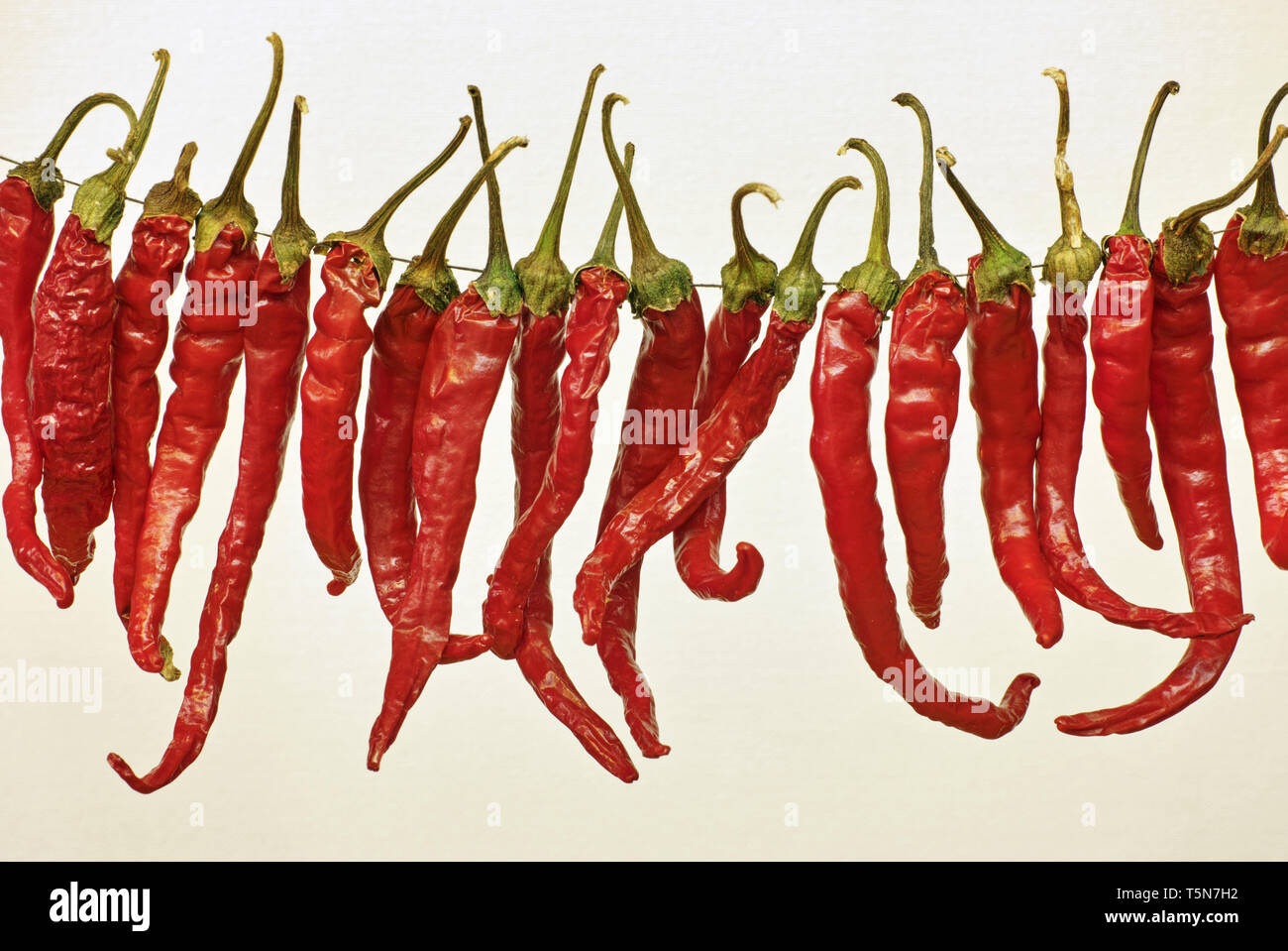 Detail einer Kette von Paprika Stockfoto