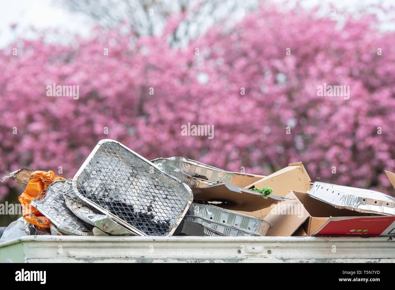 The Meadows, Edinburgh, Cherry Blossom, Einweg-BBQ, bin, überfüllt Stockfoto