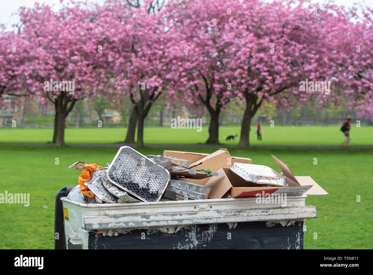 The Meadows, Edinburgh, Cherry Blossom, Einweg-BBQ, bin, überfüllt Stockfoto