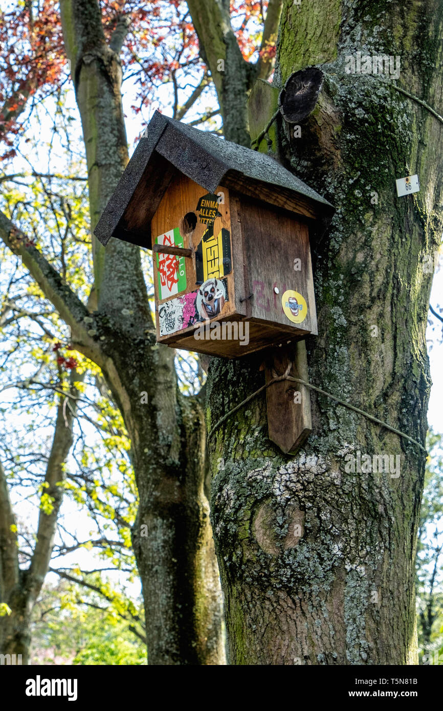 Bunter Vogel Nistkasten Zu Baum Befestigt Im Volkspark Am Weinbergsweg Offentlicher Park In Mitte Berlin Stockfotografie Alamy