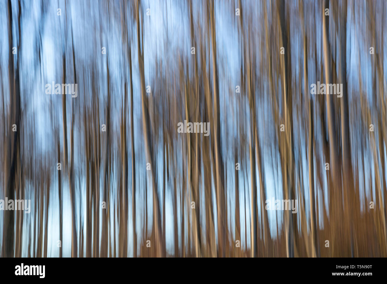 Abstrakte verschwommen Winter Forest gegen den blauen Himmel Stockfoto