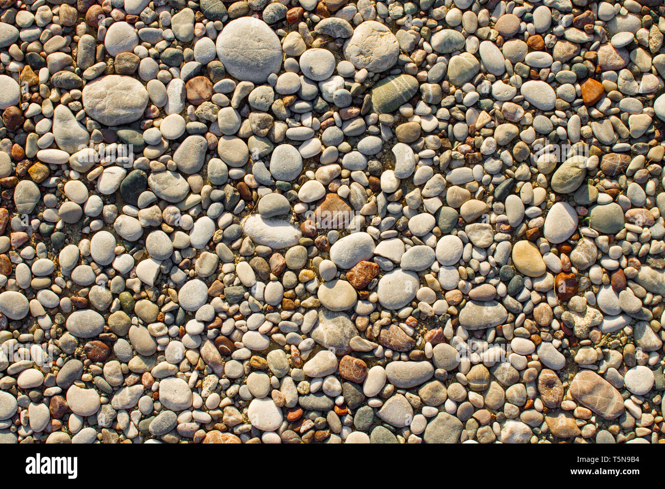 Textur von kleinen Meer Kiesel und Steine Stockfoto