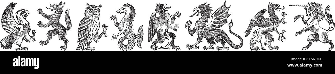 Tiere für die Heraldik im Vintage Style. Gravierte Wappen mit Vögeln, Fabelwesen, Fisch. Mittelalterliche Embleme und das Logo der Fantasy Stock Vektor