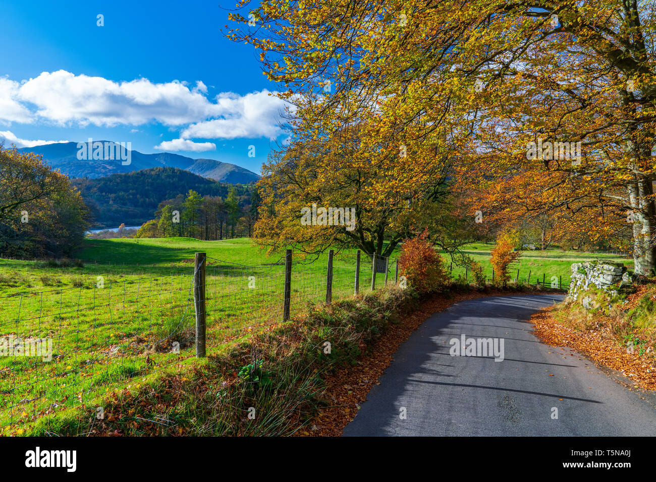 Cumbrian Landschaft in der Nähe von Elterwater, Nationalpark Lake District, Cumbria, England, UK, Europa. Stockfoto