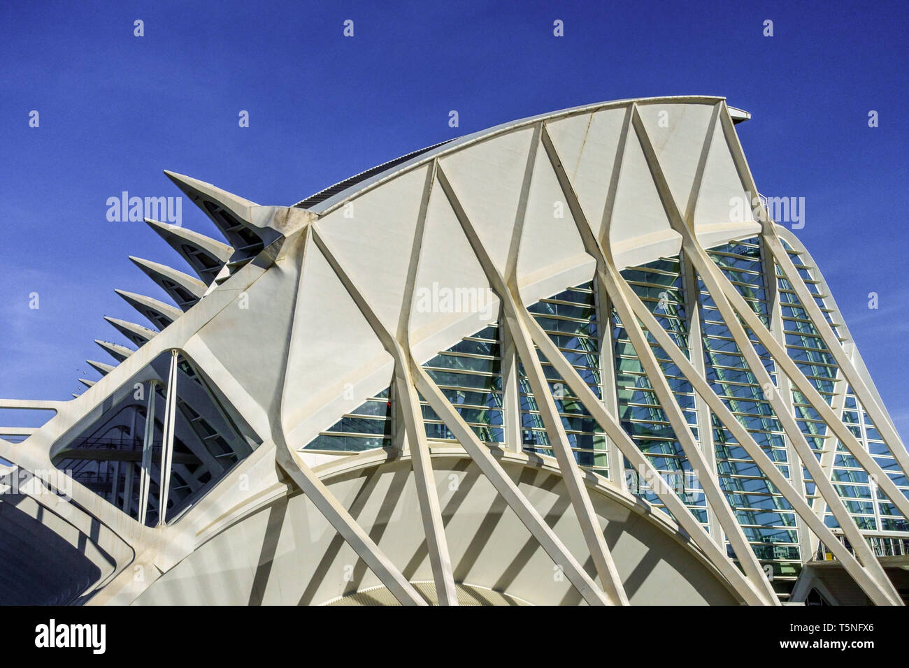 Spanische moderne zeitgenössische Architektur futuristische Struktur -Calatrava Valencia Stadt der Künste und Wissenschaften Valencia Spanien City Europe Science Museum Stockfoto