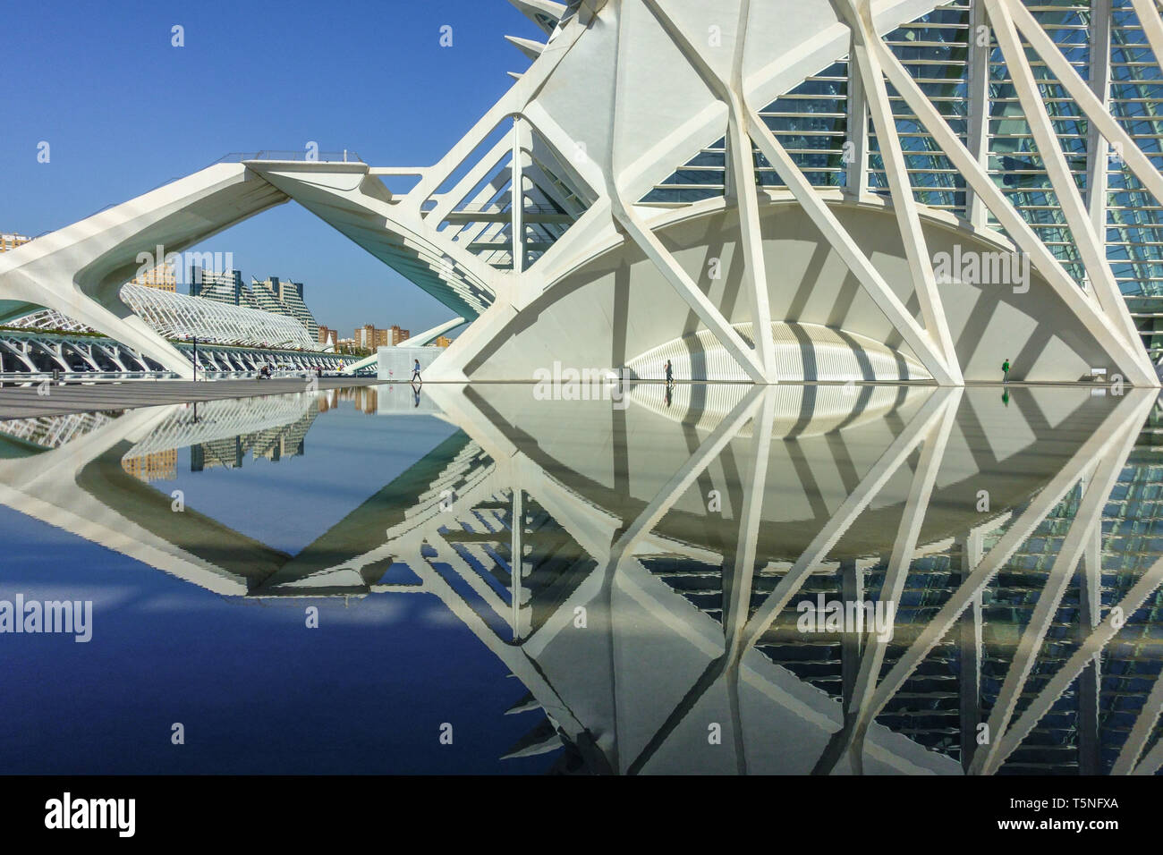 Spanische zeitgenössische moderne Architektur futuristische Struktur von Calatrava Valencia Stadt der Künste und Wissenschaften Valencia Spanien Stadtmuseum der Wissenschaft Stockfoto