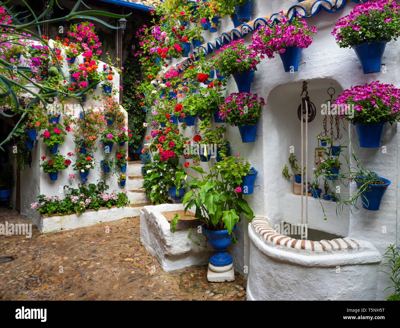 Cordovan traditionellen Innenhof Cordoba, Spanien, April 24, 2019 Stockfoto