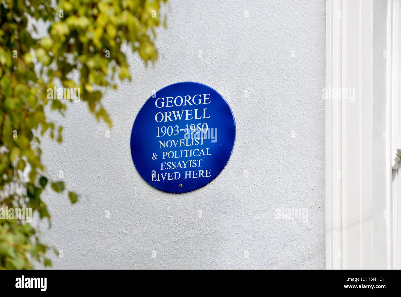 London, England, UK. Commemorative blaue Plakette: George Orwell 1903-1950 Schriftsteller und politischer Essayist hier gelebt. 22 Portobello Road, Notting Hill Stockfoto