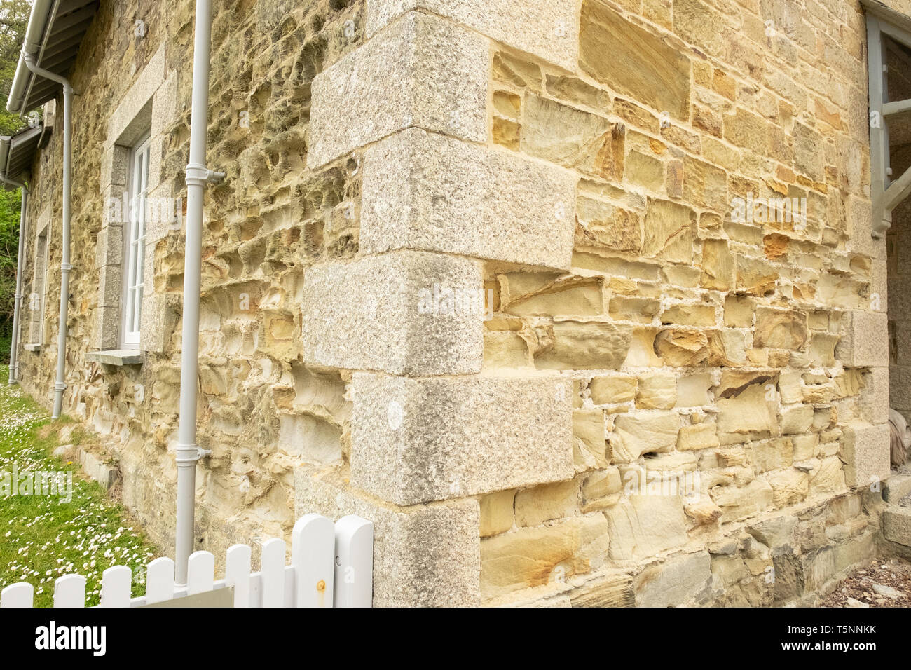 Differential Erosion und Verwitterung auf Küsten Haus Wand aus Granit und Sandstein, Cornwall, England Stockfoto