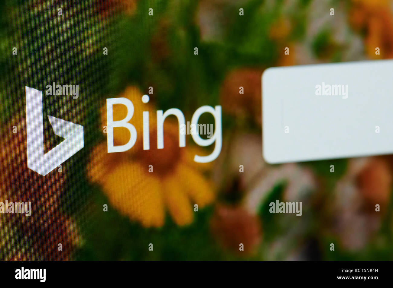 New York, USA - 22. April 2019: Bing Suche Startseite auf Laptop Nahaufnahme der Anzeige Stockfoto