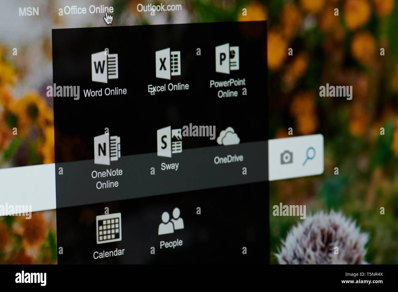 New York, USA - 22. April 2019: Microsoft Office Online auf dem Laptop Bildschirm schließen Stockfoto