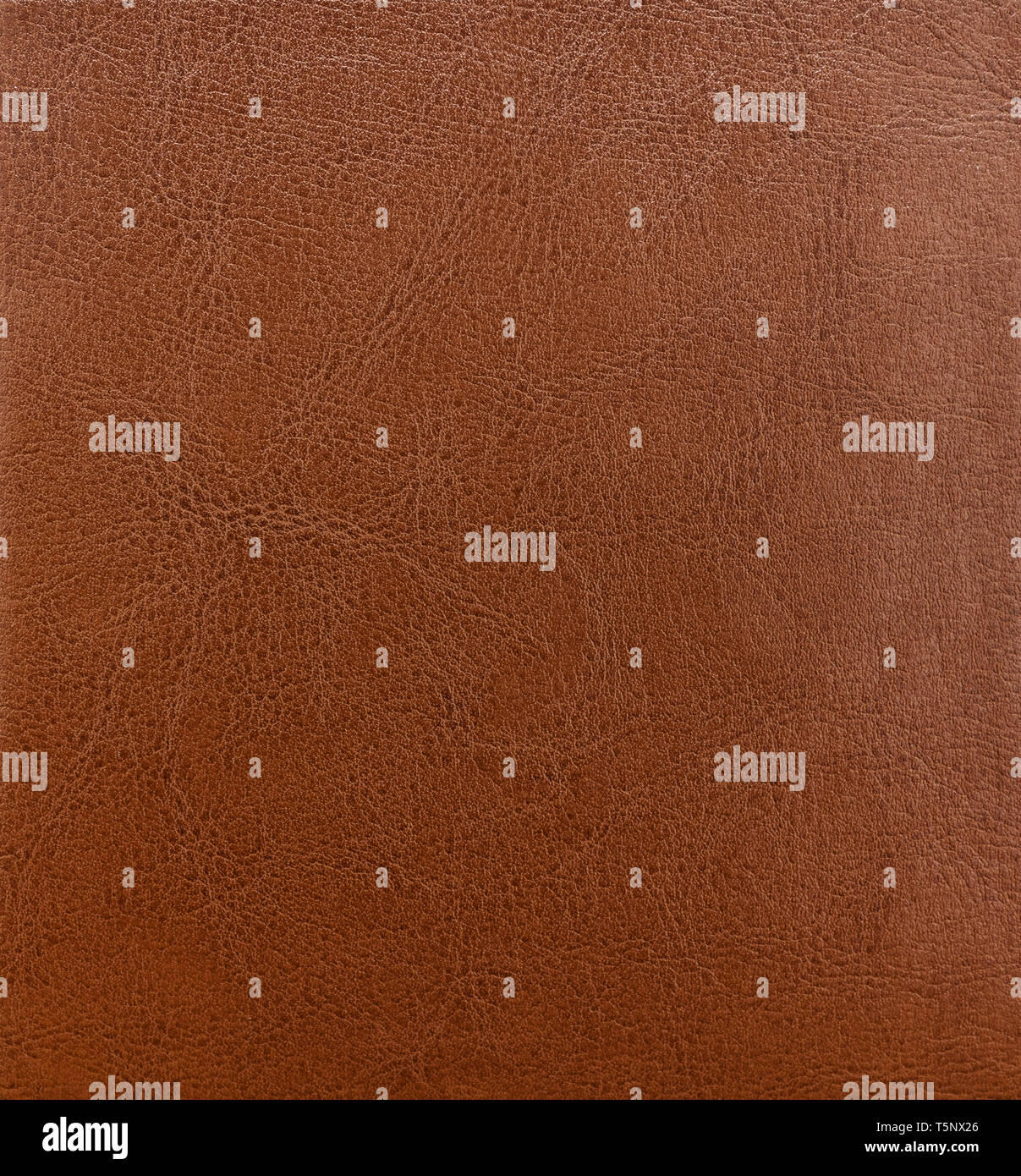 Aus braunem Leder, Textur, Vintage Leder Haut Textur Hintergrund Stockfoto