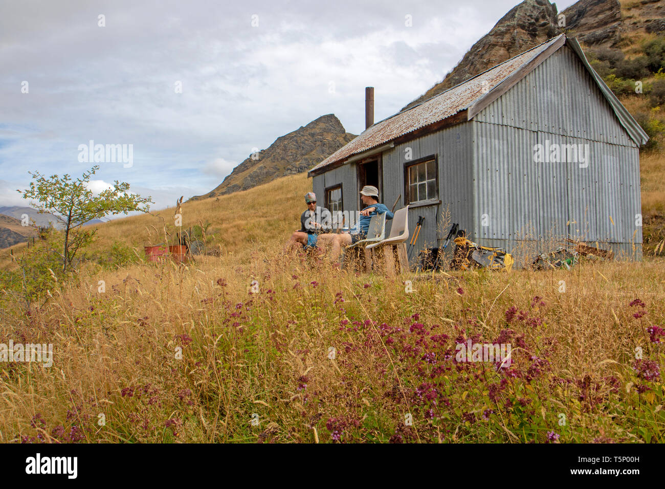 Blaue Jacke Hut, sitzen auf den Hängen oberhalb von Skippers Canyon Stockfoto
