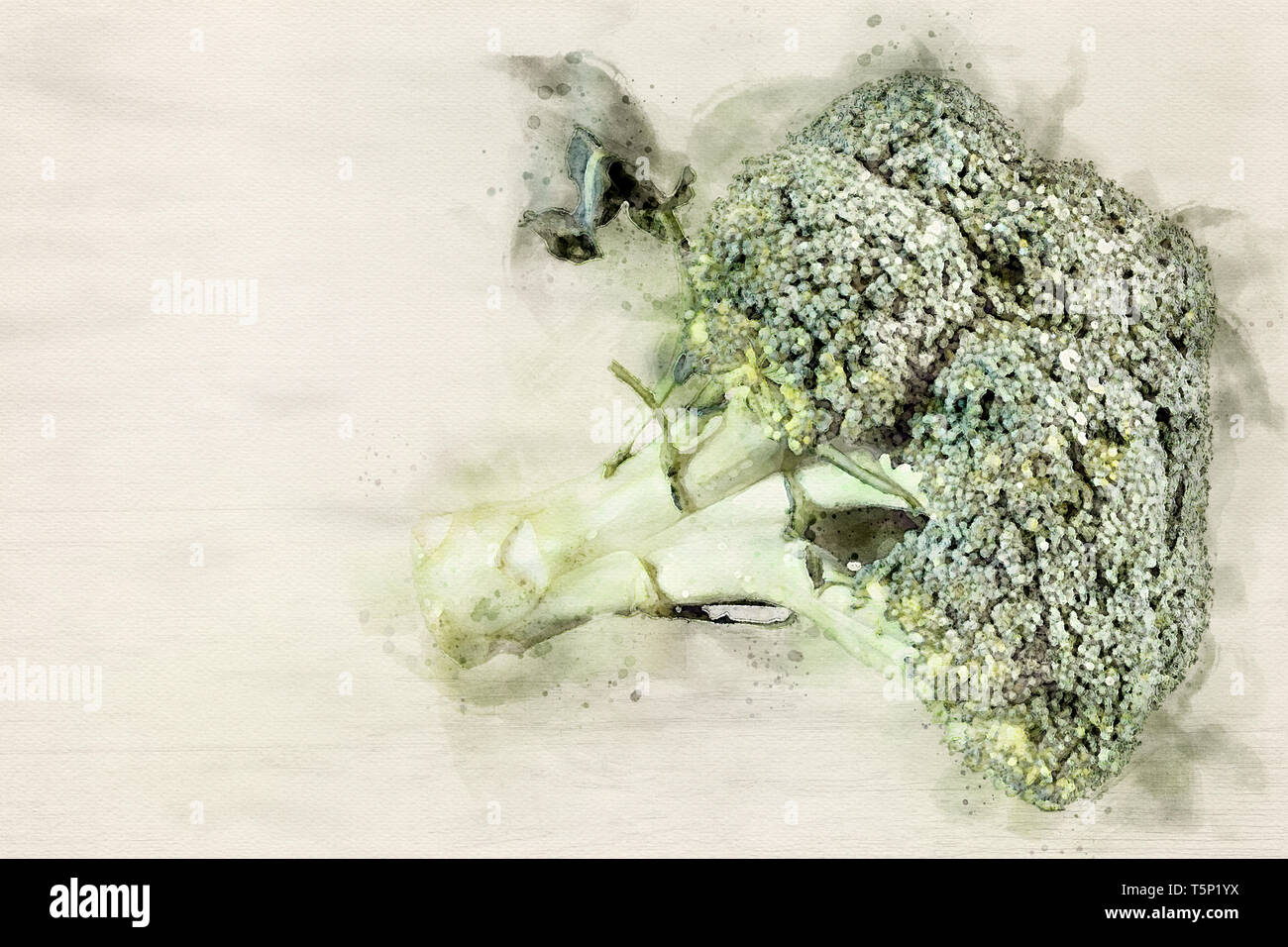 Broccolo Verde Stockfoto