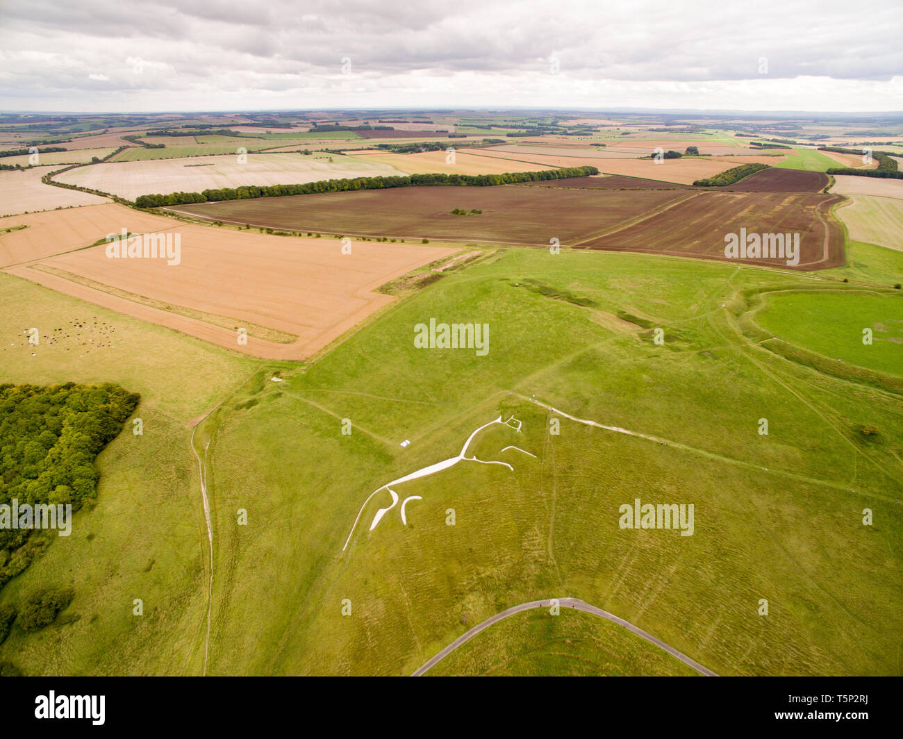 Eyriel Drone Blick auf den berühmten Uffington White Horse ein prähistorischer Hügel - Abbildung und Bügeleisen - Alter fort Stockfoto