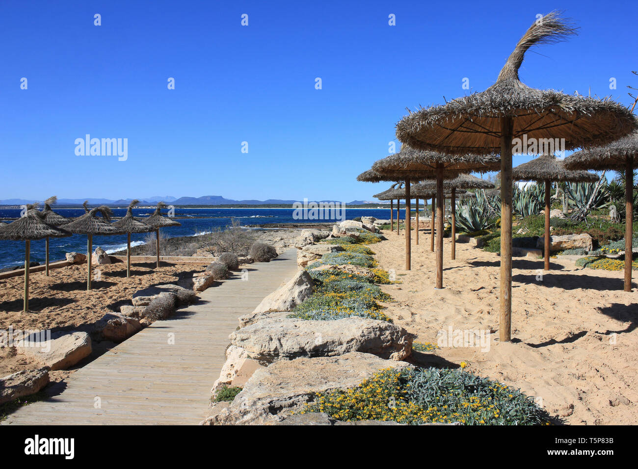 Holzsteg entlang der Promenade an der Colonia Sant Jordi, Mallorca, Spanien Stockfoto