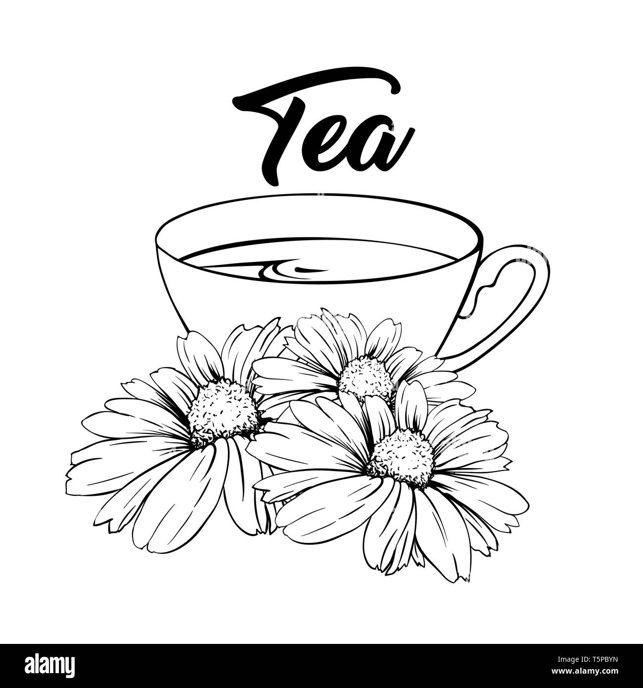 Porzellan oder Keramik Tasse Tee. Kamille oder Daisy Flower und grüner Tee. Pflanzliche Therapie. Aus Tee mit matricaria Lose Kräuter. Vector Illustration. Banner Design, Restaurant Menü, englisches Frühstück. Stock Vektor