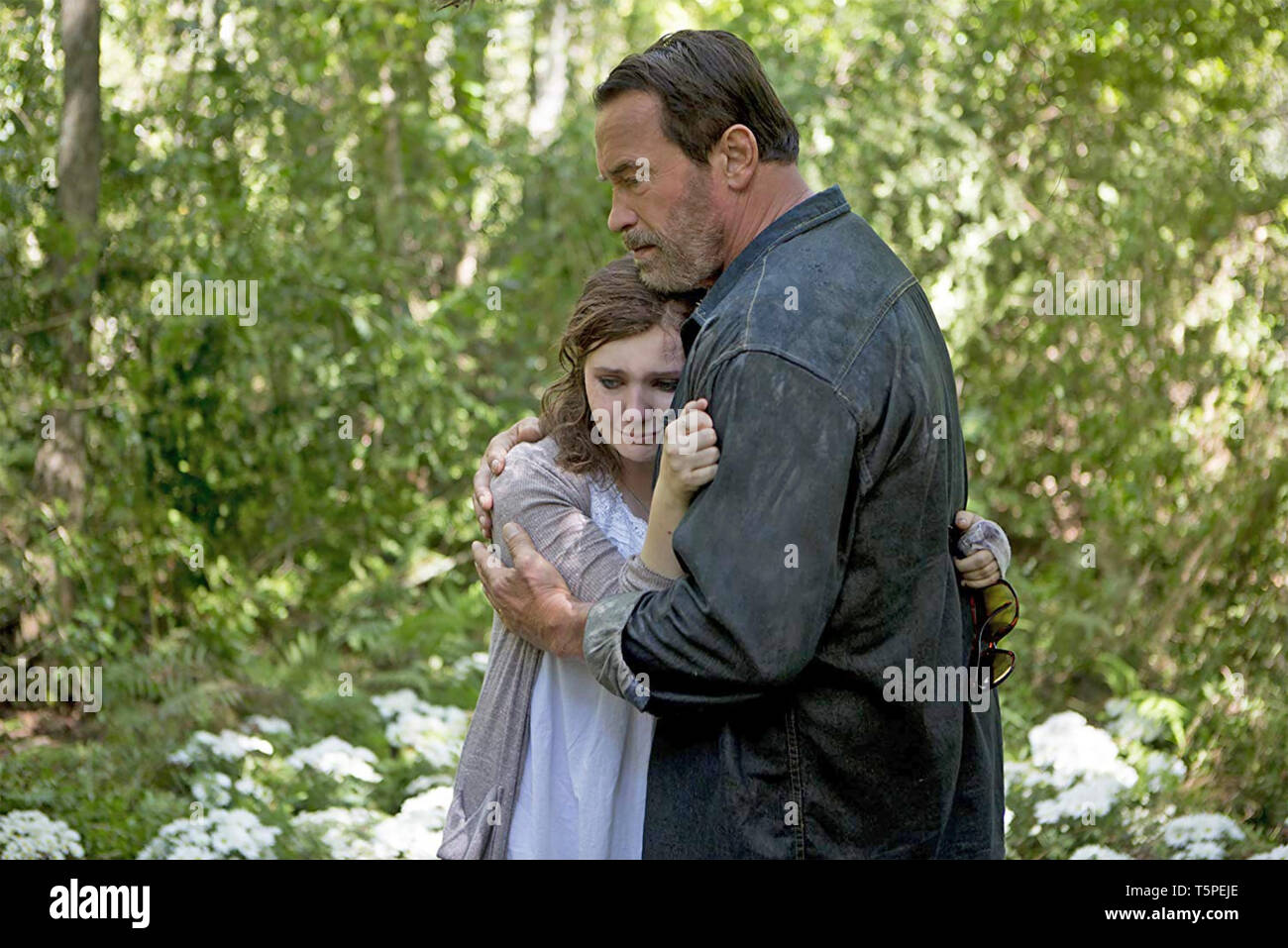 MAGGIE 2015 Lionsgate Film mit Arnold Schwarzenegger und Abigail Breslin Stockfoto