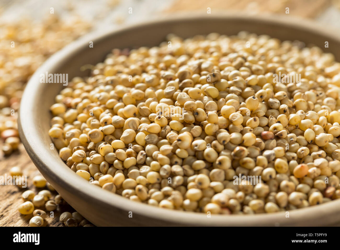 Raw Organic Sorghum Getreide in eine Schüssel geben. Stockfoto