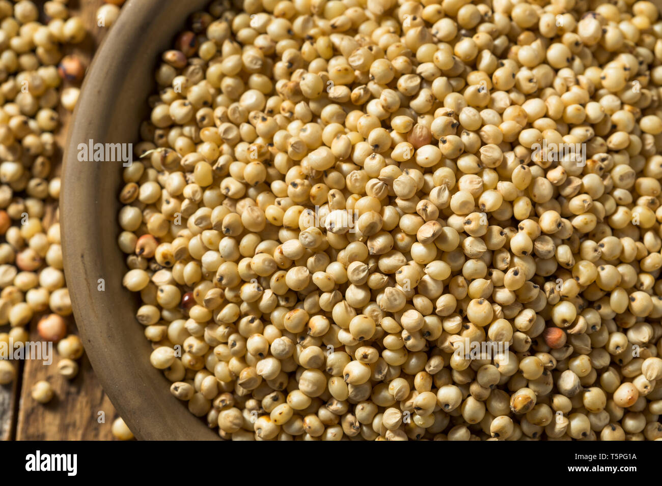 Raw Organic Sorghum Getreide in eine Schüssel geben. Stockfoto
