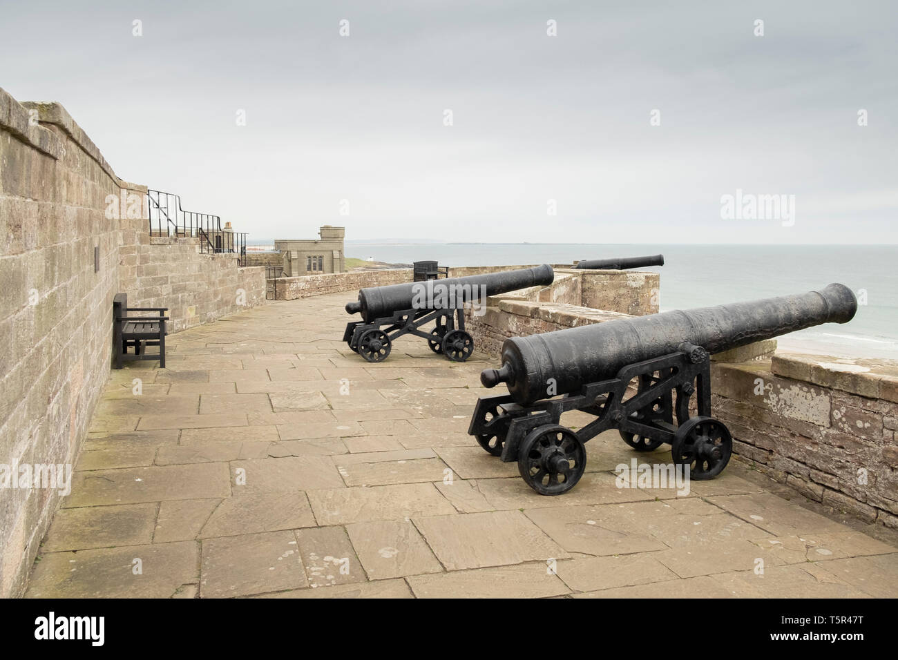 Kanone mit Blick auf das Meer von Bamburgh Castle, Northumberland, England Stockfoto