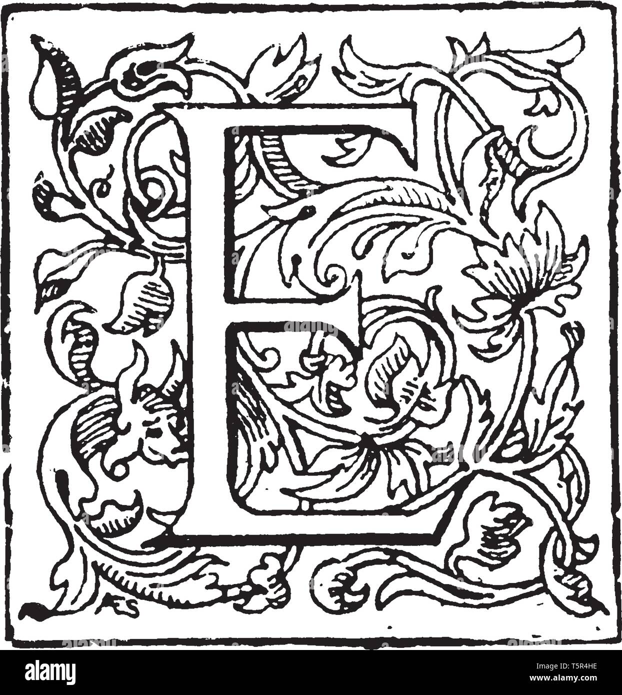 Eine dekorative und floralen Großbuchstabe E, vintage Strichzeichnung oder Gravur Abbildung Stock Vektor