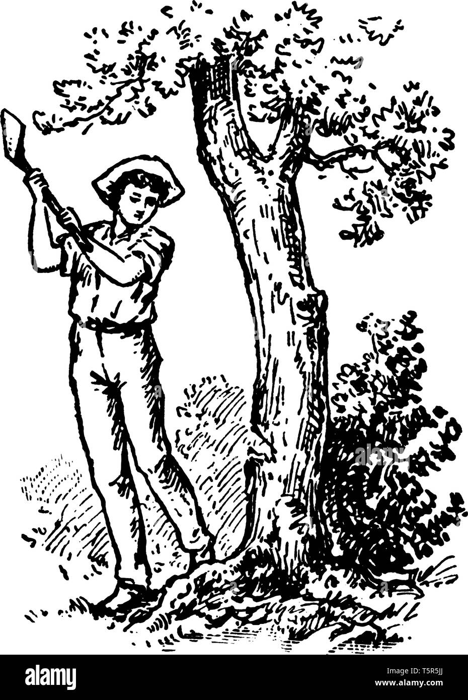 Ein Mann schneiden Baum mit Ax, vintage Strichzeichnung oder Gravur Abbildung Stock Vektor