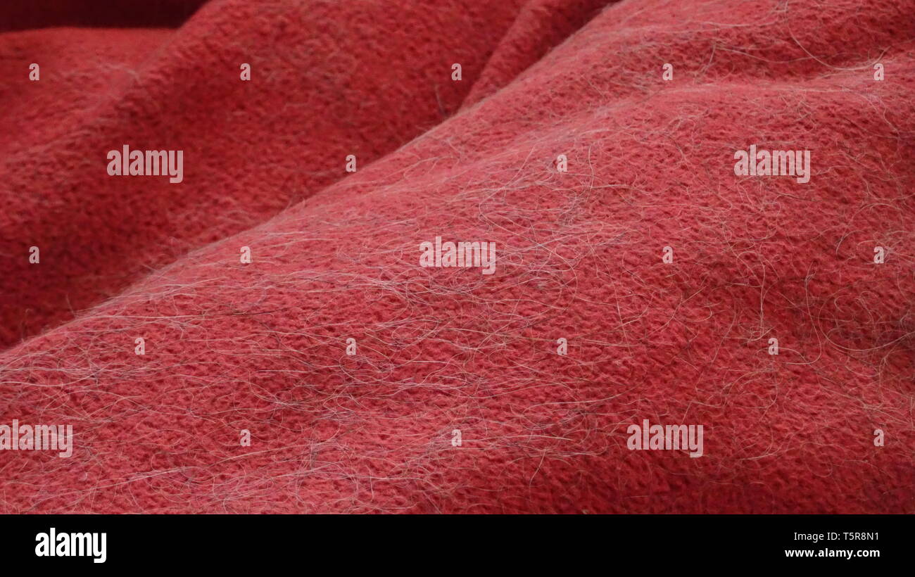 Rote Decke in Hund Fell bedeckt. In Devon, Großbritannien Stockfoto