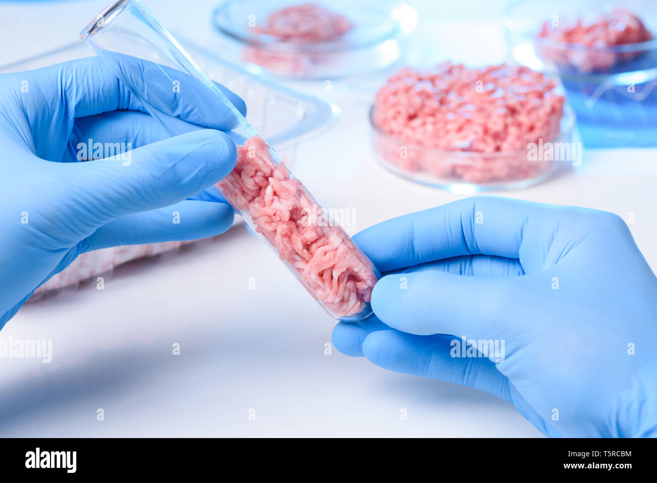 Wissenschaftler Hand in Schutzhandschuh halten rohes Fleisch im Labor künstlich gewachsen Reagenzglas Konzept Stockfoto