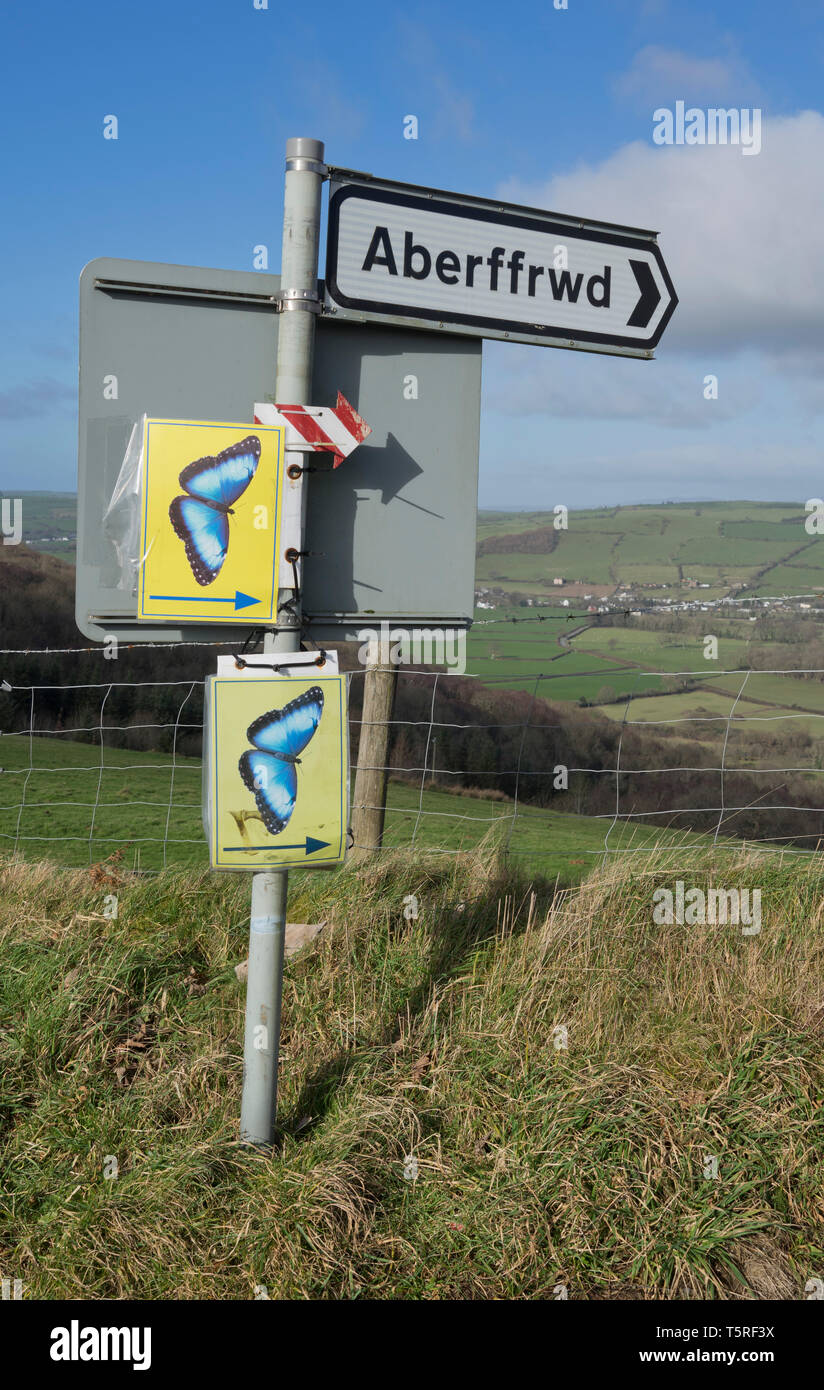 Die Aberffrwd Schmetterling Heiligtum, Ceredigion, Wales, Großbritannien Stockfoto