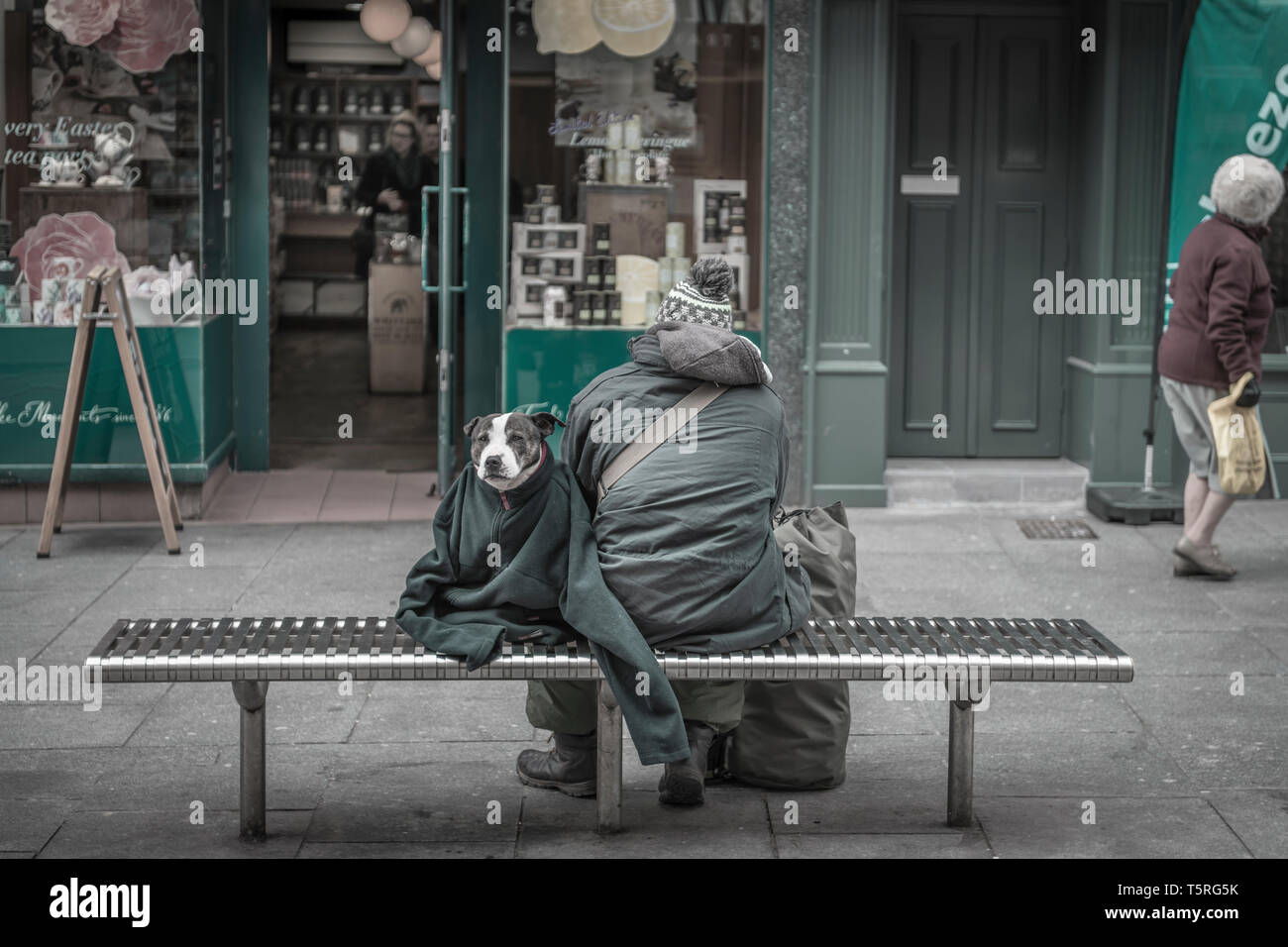 Ein Mann wickelt seinen Hund in ein Vlies es warm gegen eine beißende Wind in Exeter City Centre zu halten. Stockfoto