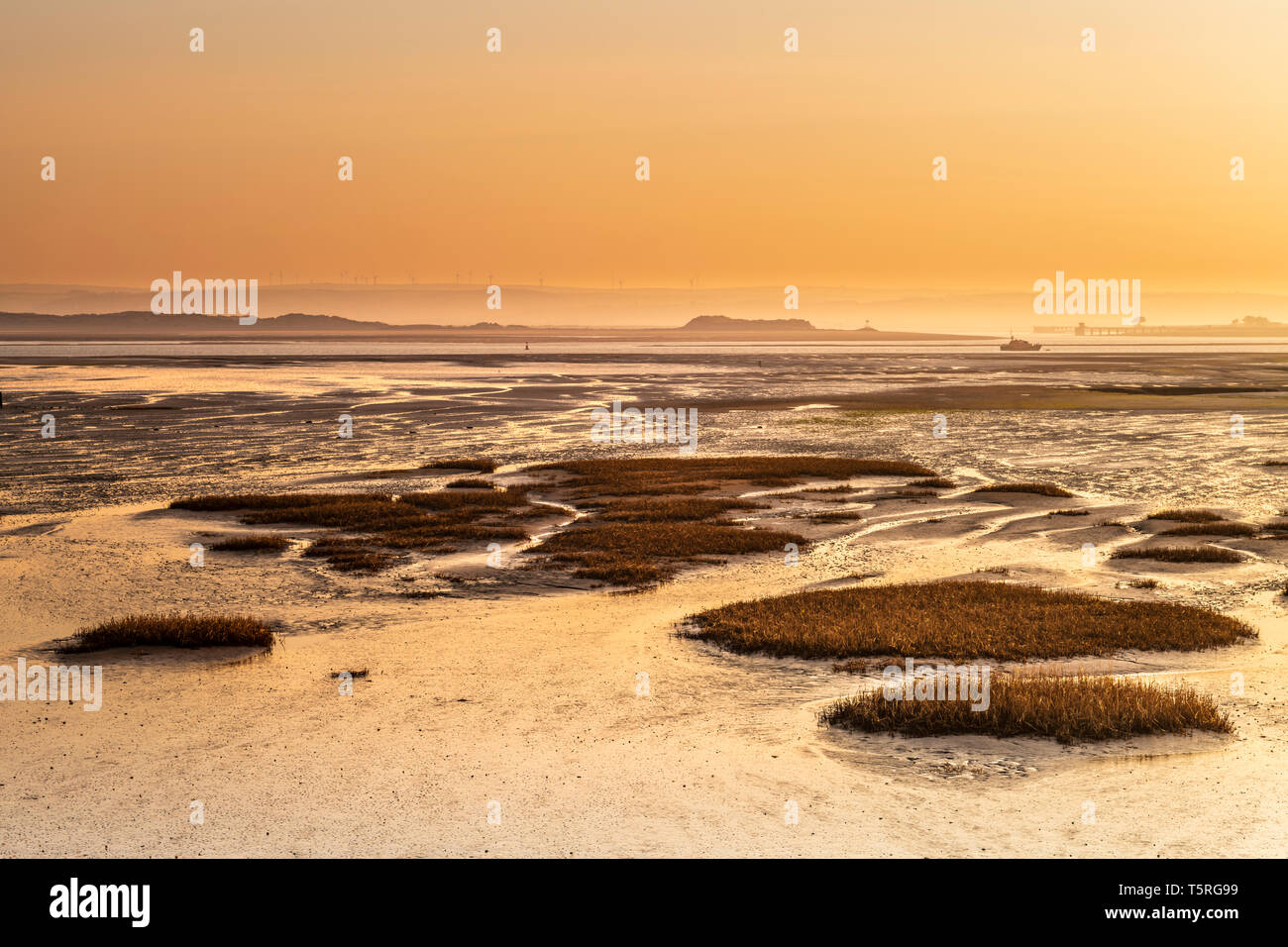 Nach einer sehr kalten Nacht im Südwesten von England, Dawn bringt eine clourful Sonnenaufgang über dem Wattenmeer an Northam Burrows in der Nähe von Appledore im Norden Devo Stockfoto