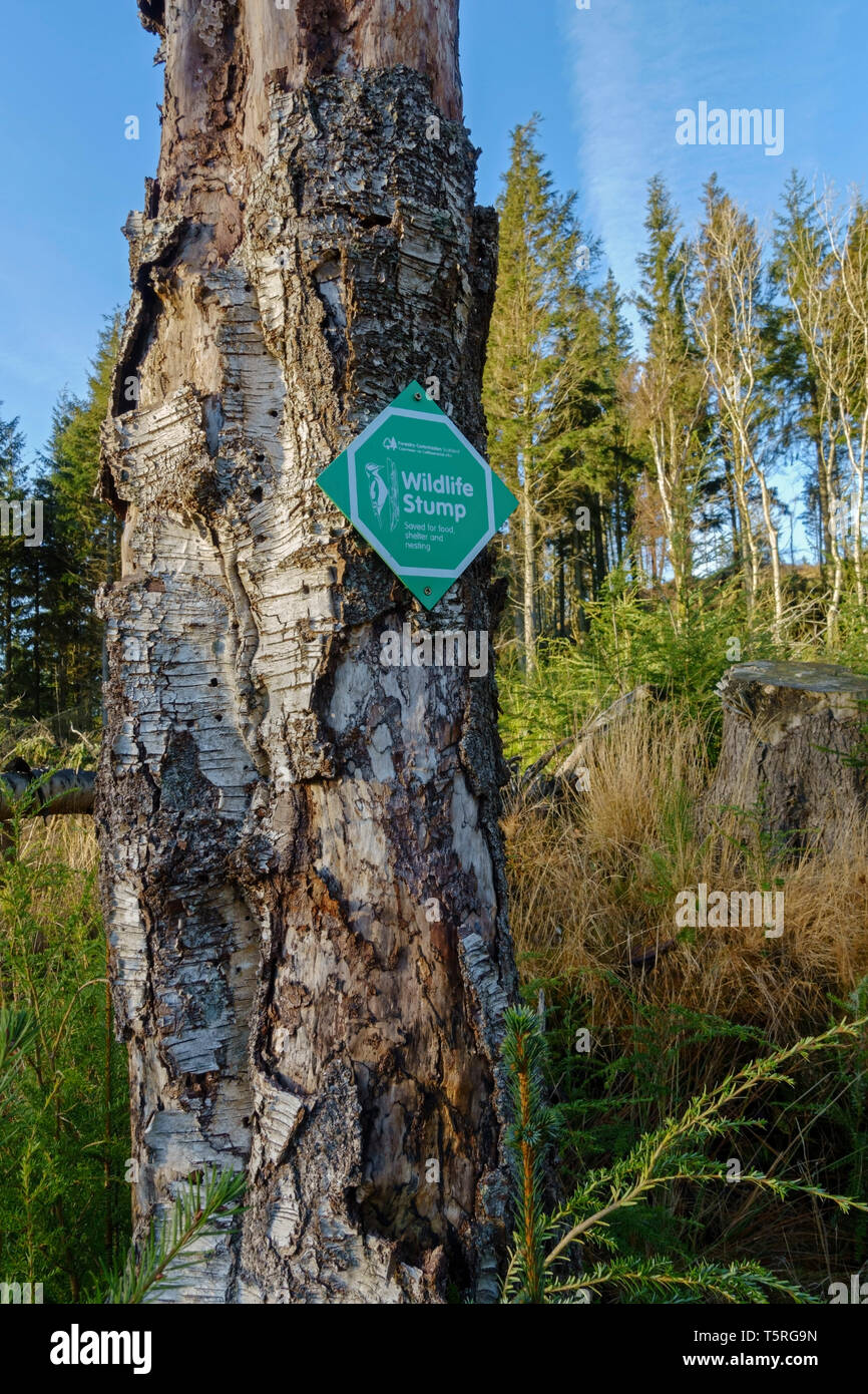 Ein Wildlife stumpf Zeichen auf einem toten Baum in Schottland. Anstatt nach unten geschnitten wird, hat der Baum für Nahrung, Unterkunft und Verschachtelung gespeichert wurde. Stockfoto