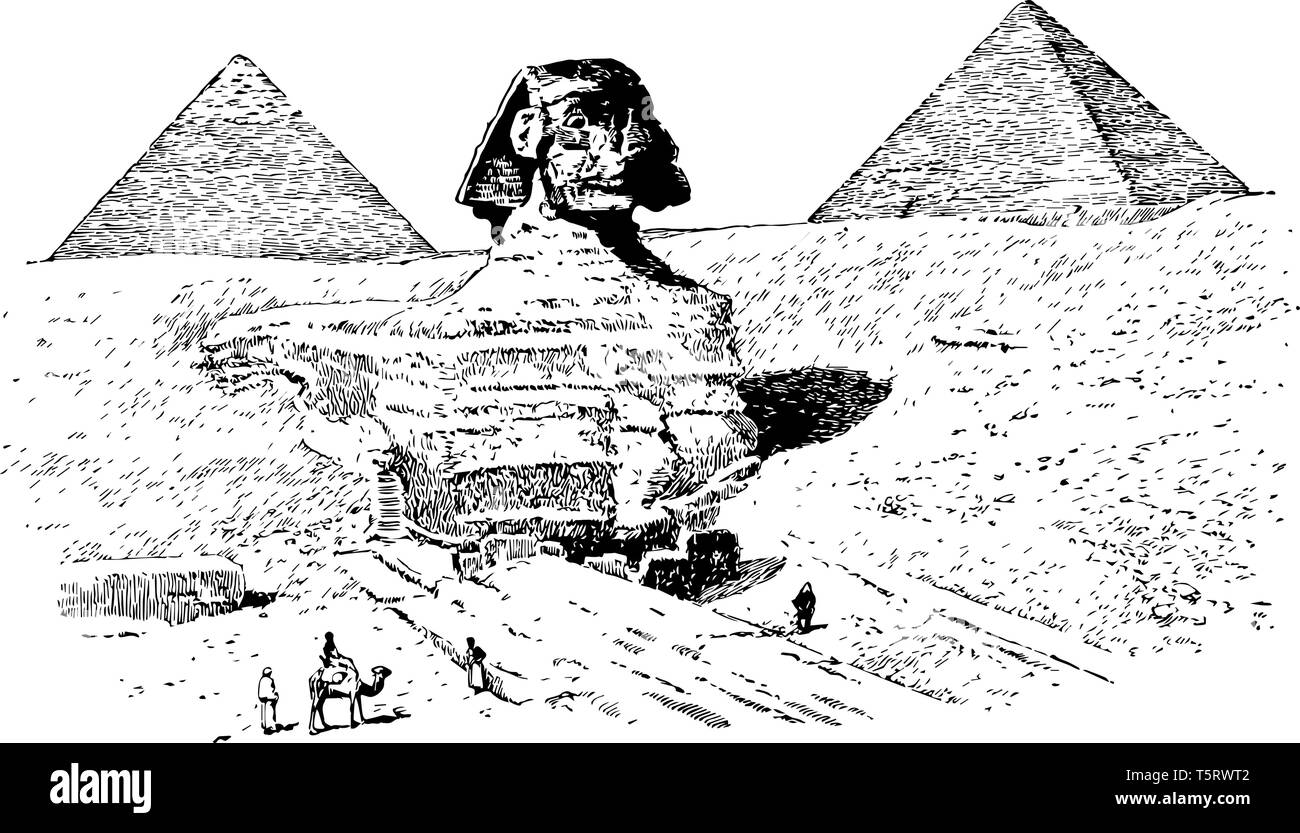 Die Große Sphinx von Ägyptern mit Pyramiden im Hintergrund gemacht, vintage Strichzeichnung oder Gravur Abbildung. Stock Vektor