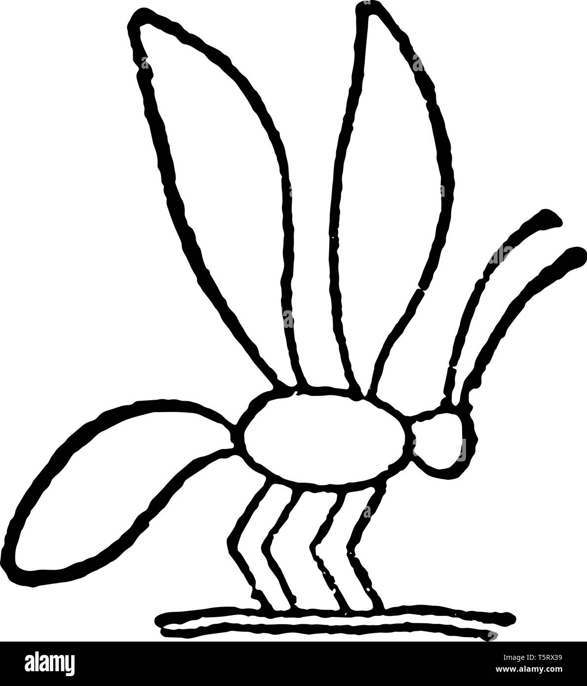 Biene Heiroglyph war ein Titel des Königs von Ober- und Unterägypten, vintage Strichzeichnung oder Gravur Abbildung. Stock Vektor