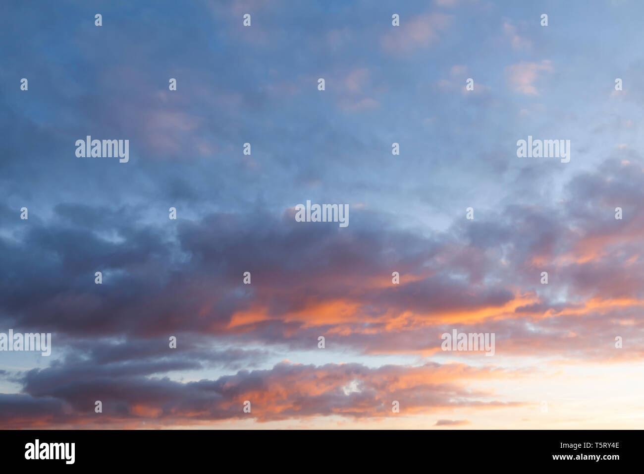 Rosa sonnenuntergang himmel mit wunderschönen Wolken. Natur cloudscape Hintergrund Stockfoto