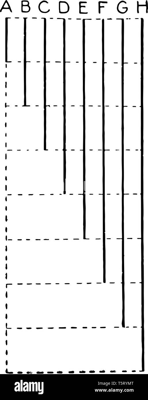Die Abbildungen eines vergleiche Diagramm, die verwendet werden können, Unterschied zwischen Linien gezeichnet zu bestimmen, vintage Strichzeichnung oder Gravur illustr Stock Vektor