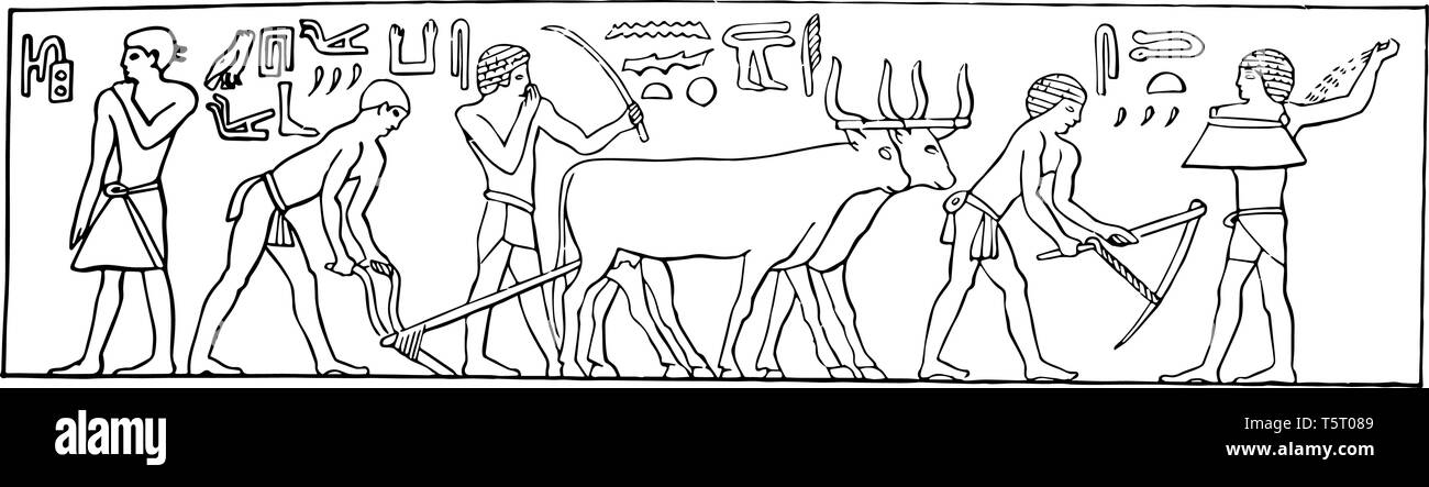 Eine Abbildung der Ägypter Pflügen und Säen mit Hieroglyphen oben geschrieben, vintage Strichzeichnung oder Gravur Abbildung. Stock Vektor