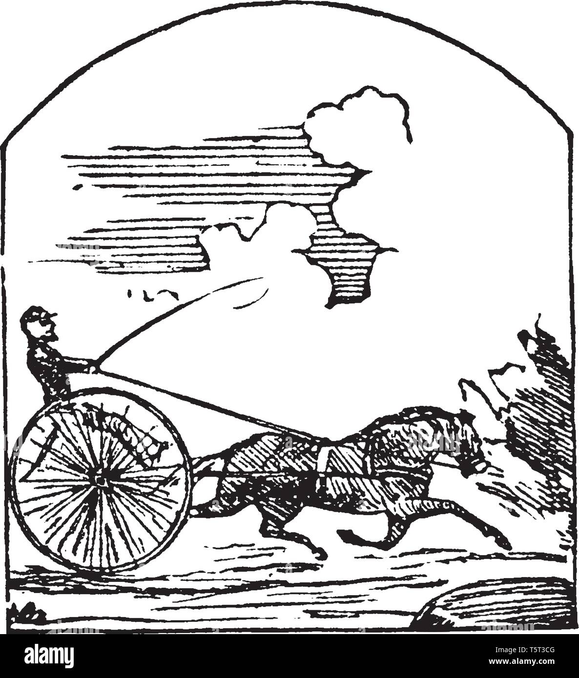 Race Horse ein Pferd gezüchtet oder gehalten werden, für das Laufen im Wettbewerb, vintage Strichzeichnung oder Gravur Abbildung. Stock Vektor