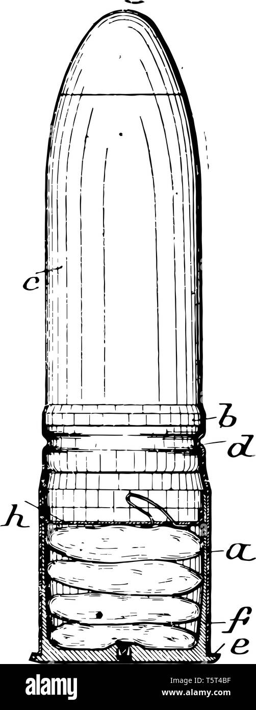 Bullet Patrone in der Regel Metallgehäuse mit der Grundierung und der Munition für Feuerwaffen, vintage Strichzeichnung oder Gravur Abbildung. Stock Vektor